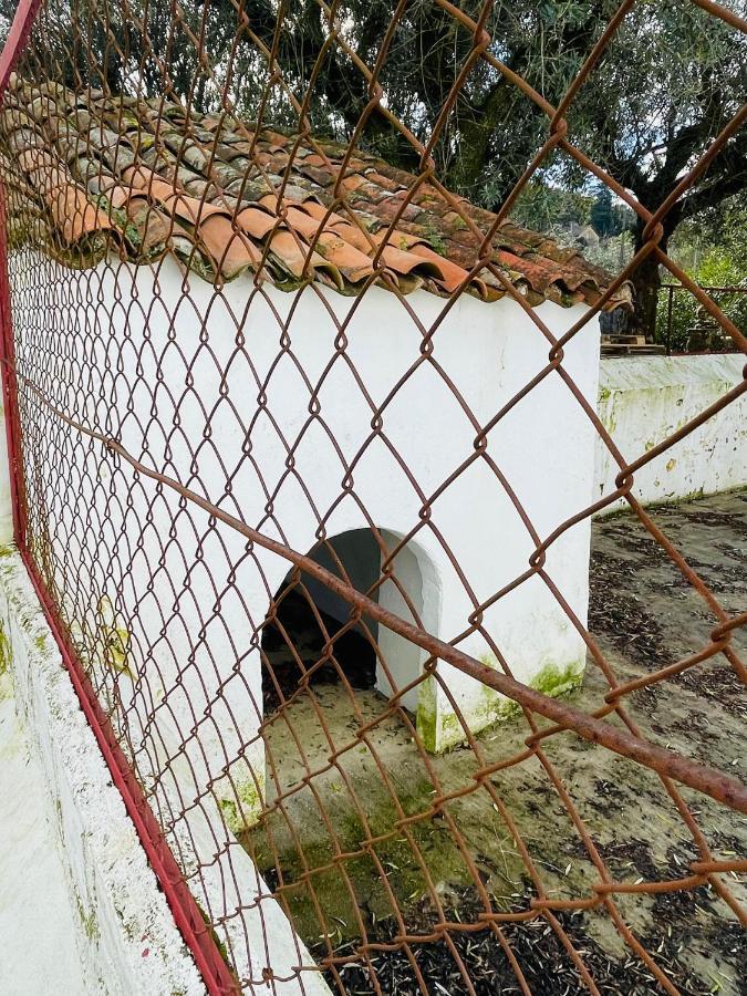 Gasthaus Casa Do Martinho Castelo de Vide Exterior foto